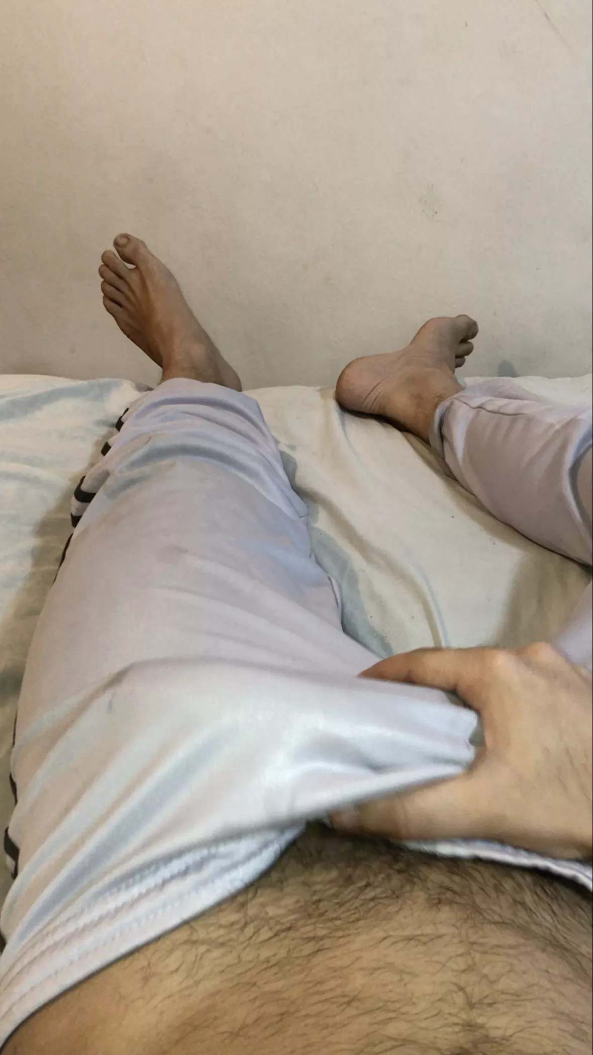 morning wooders of the world