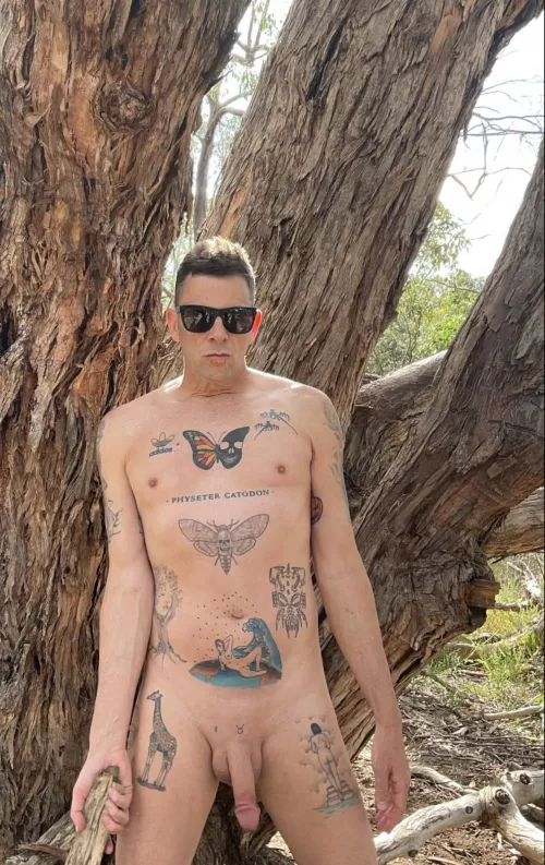 Playing with my friends, the trees.