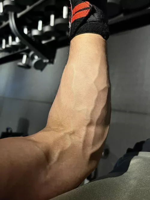 A rainy and veiny day! 