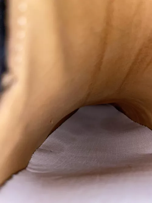 Are these the correct fit, or are they too big?