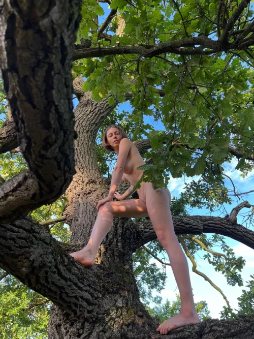 Climbing a tree is not always easy