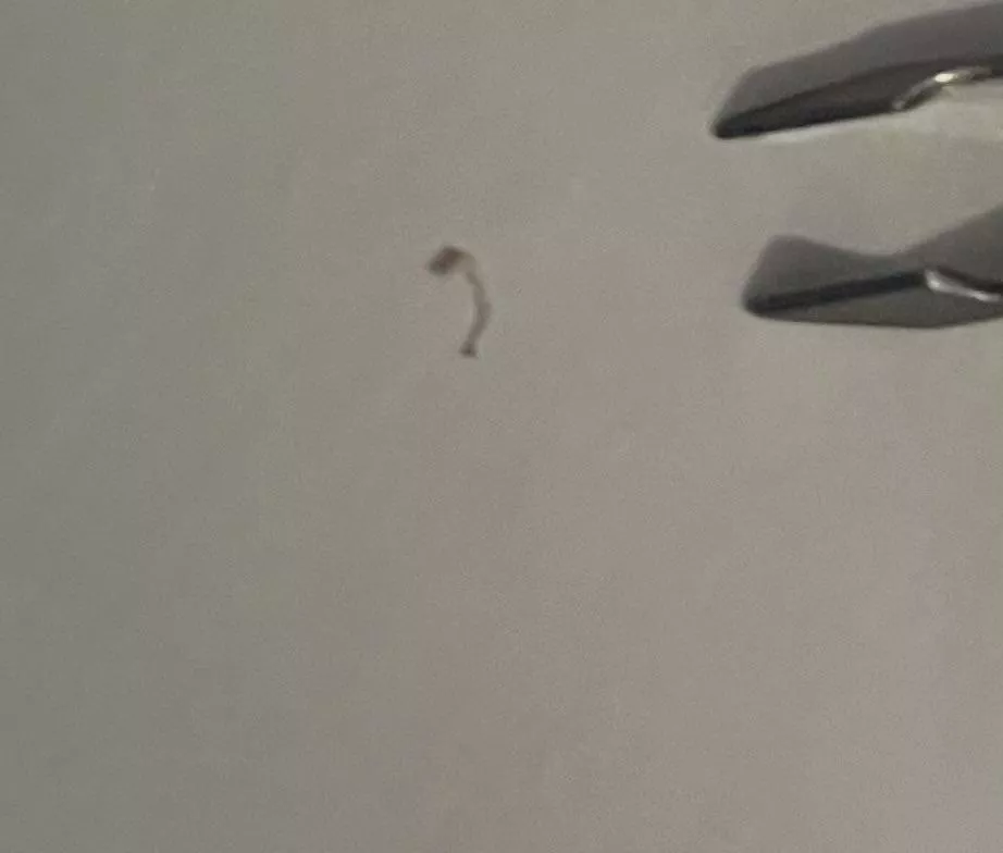 Pulled this out. Tugged on a hair and saw half an inch move back behind it. Took awhile to get out 