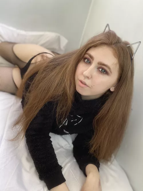 The cat wants to lie around in an embrace and do nothing