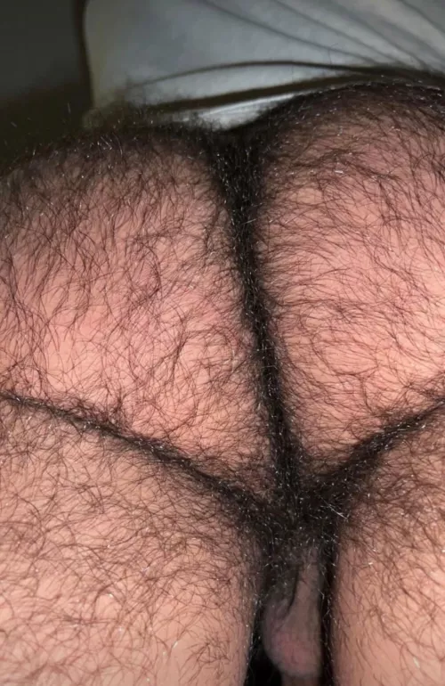 [30] HAIRY (Prefer Smooth or Hairy Beef?)