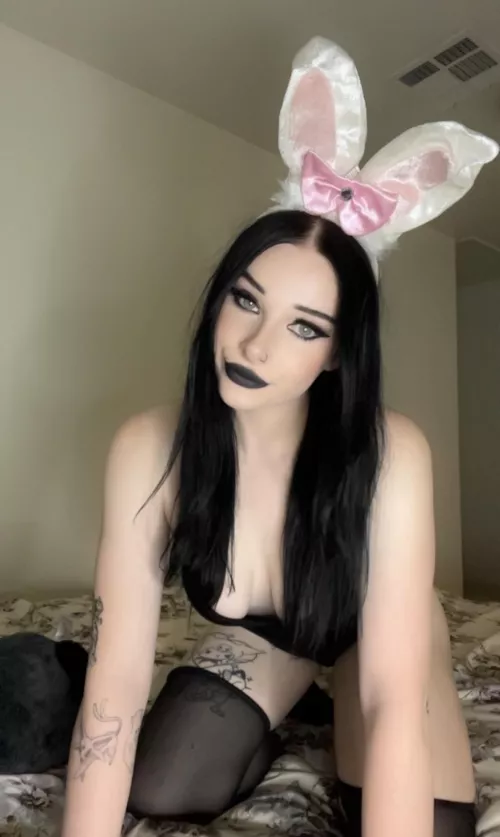 I wanna be your goth bunny 