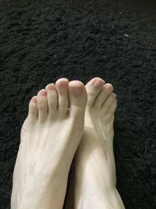lick my toes