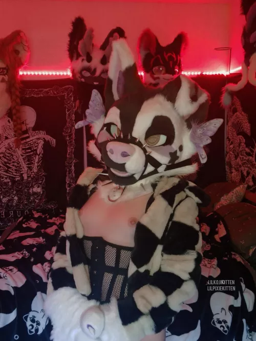 Puppy got their little titties out again 