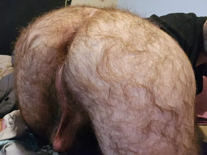 Very hairy lol
