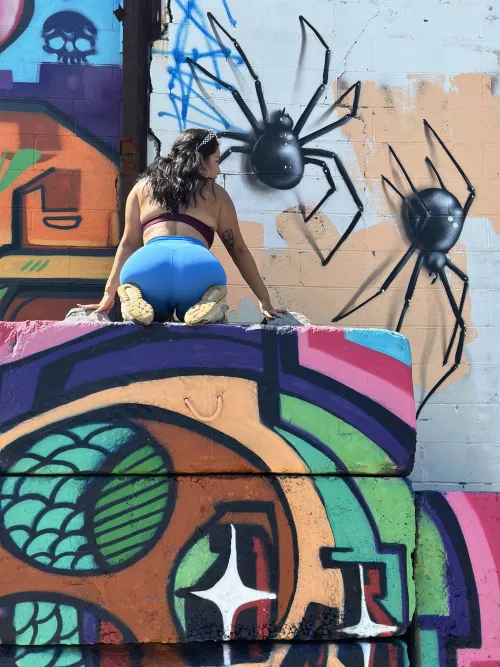 Wow look at the giant spider 