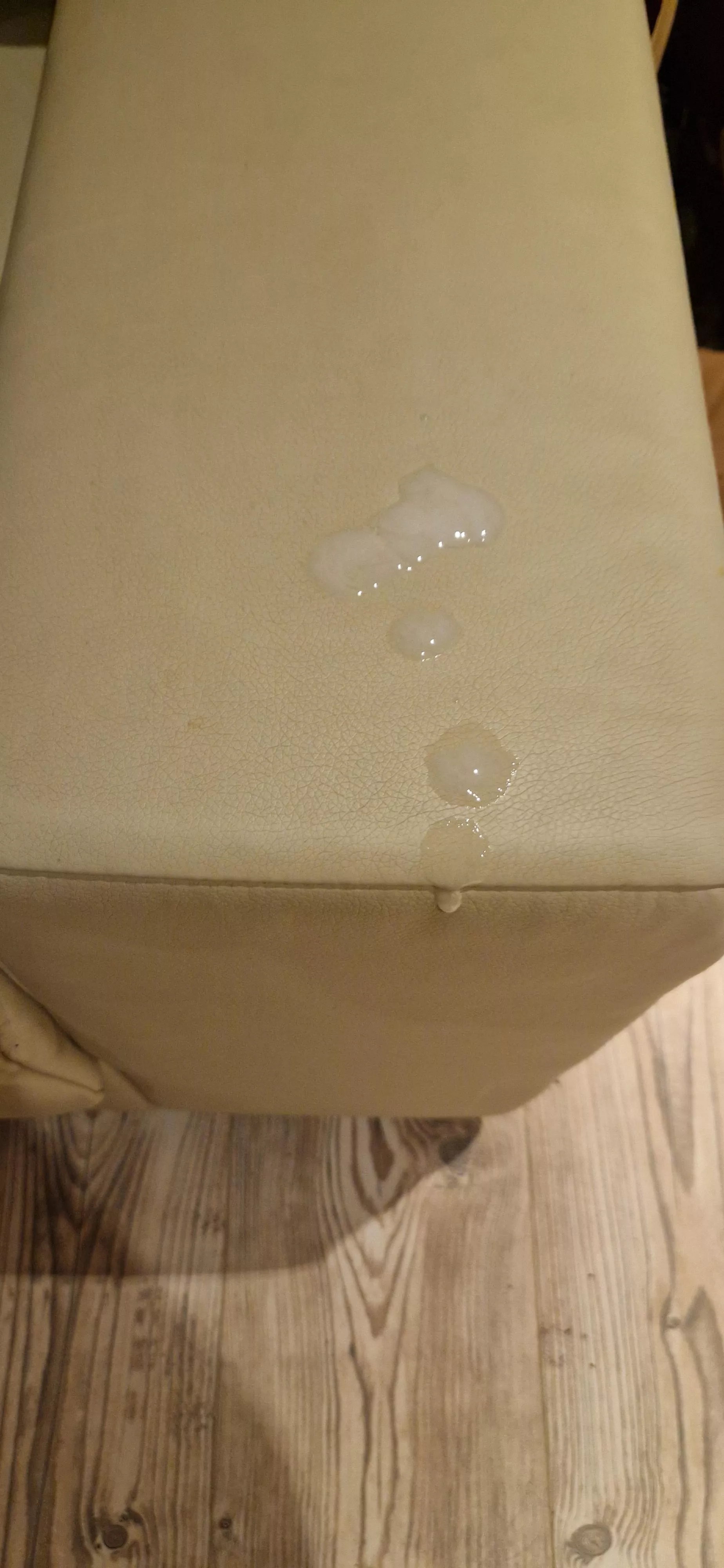 [21] The pic of my failed cumshot video