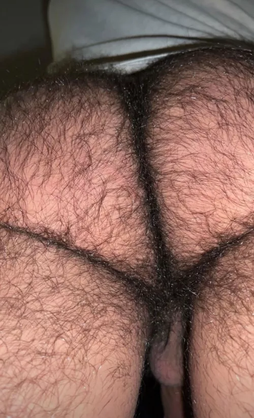 [30] Keep it hairy? OC