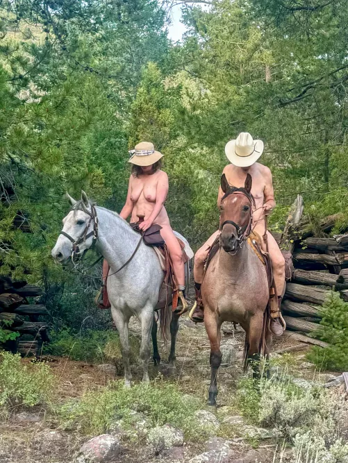 A little horsing Around 🌲