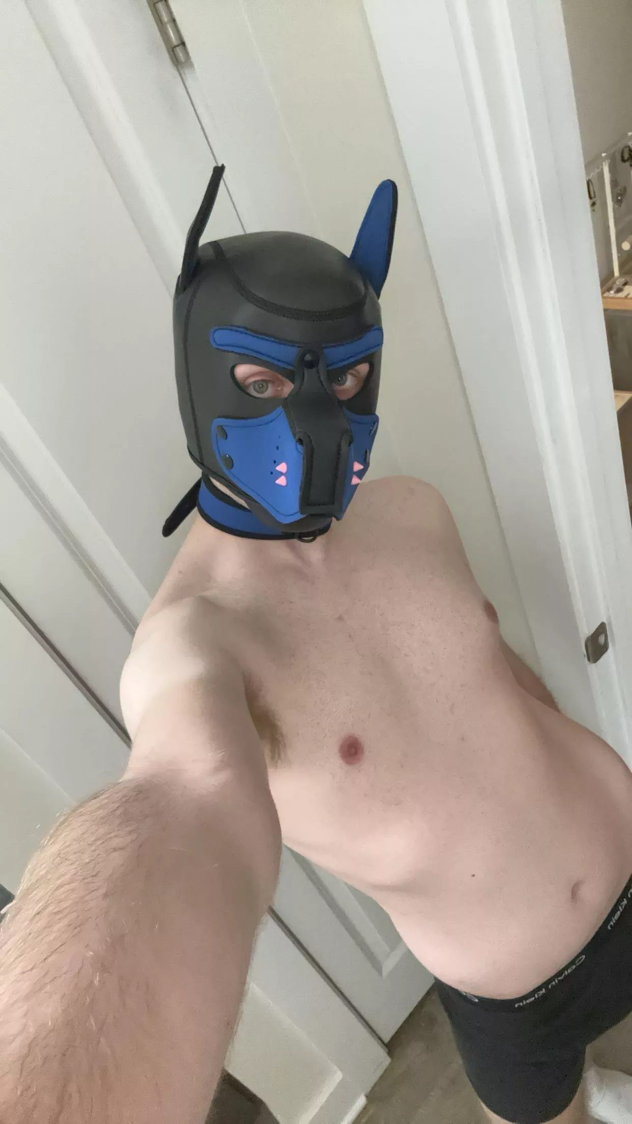 Finally got a collar to match my hood 🐶⛓️