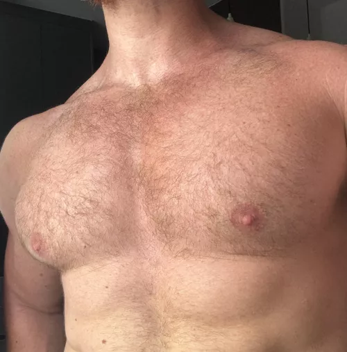 Ginger fur needs a petting