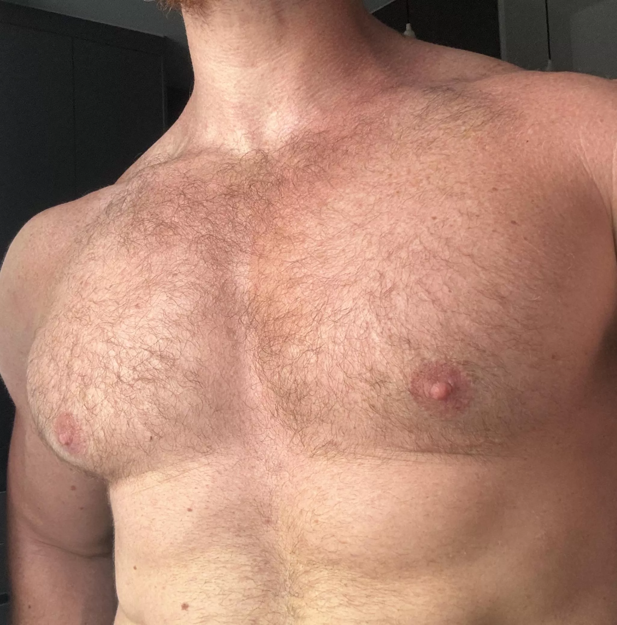 Ginger fur needs a petting