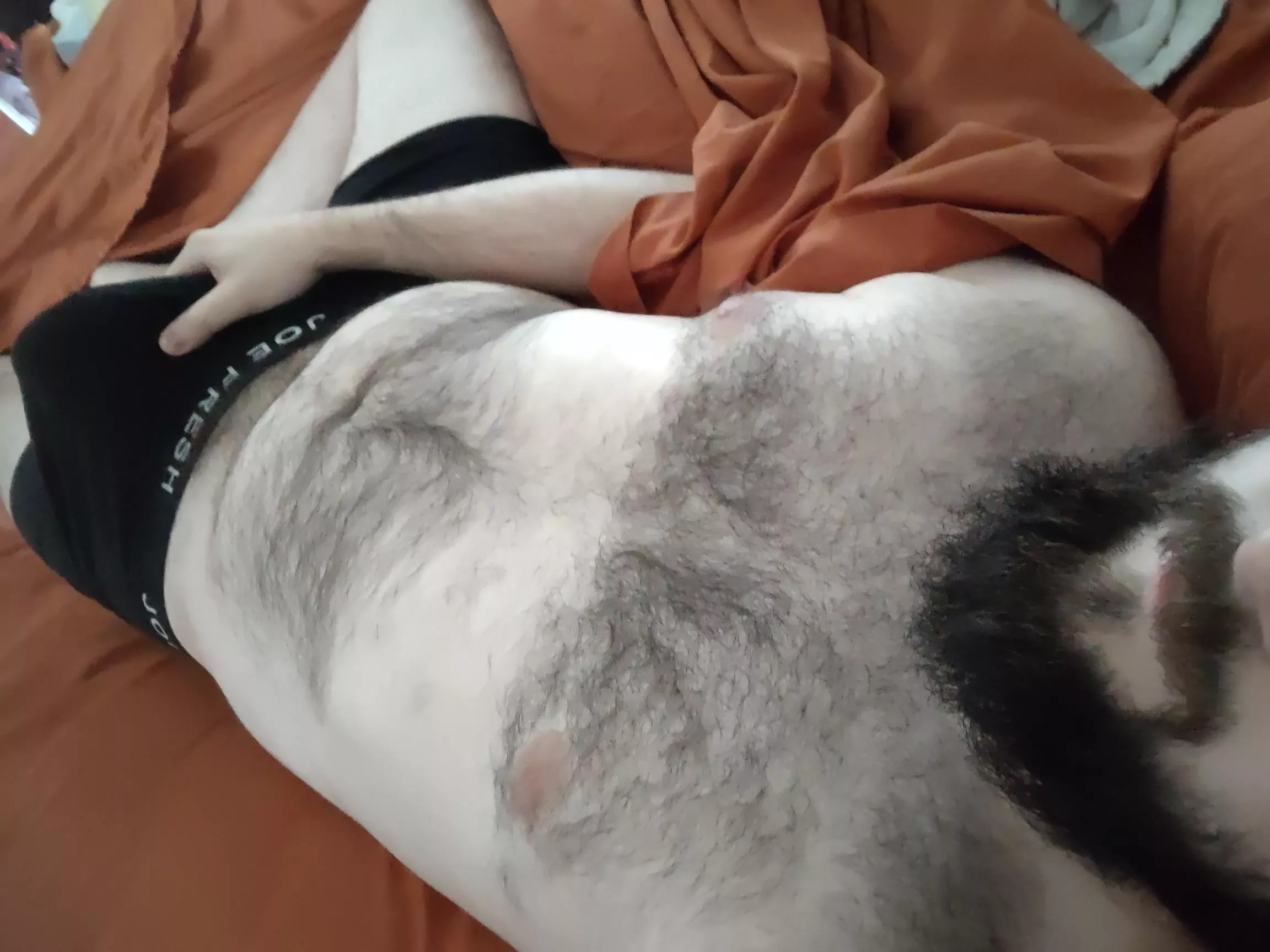 Hope you like my chest hair all the way from the beard to the boner