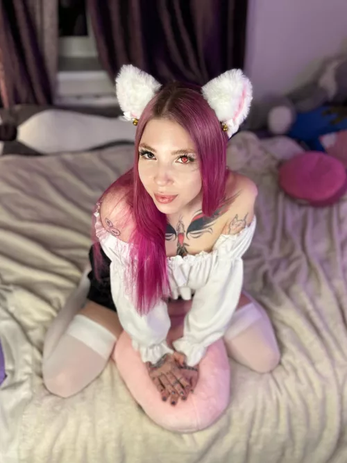 meow shelter little pussy