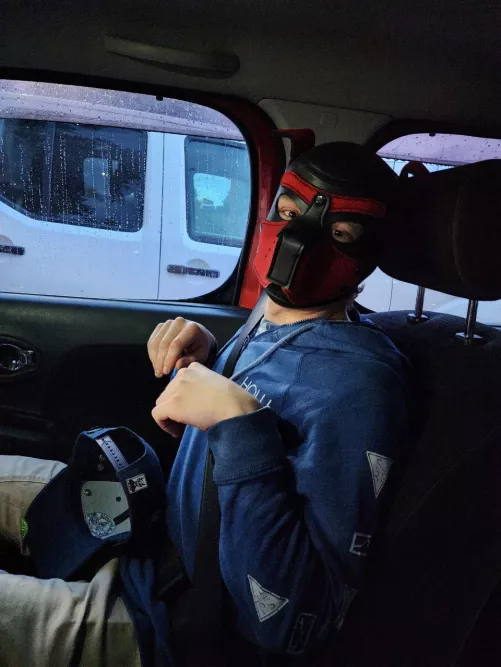 My handler bought me a hood today🥰