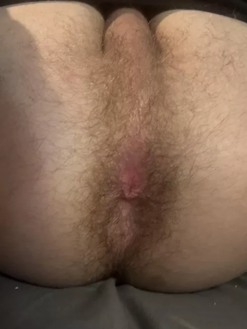 ready for use 🫡 (feel free to dm)