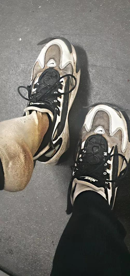 You can smell them even in my shoes