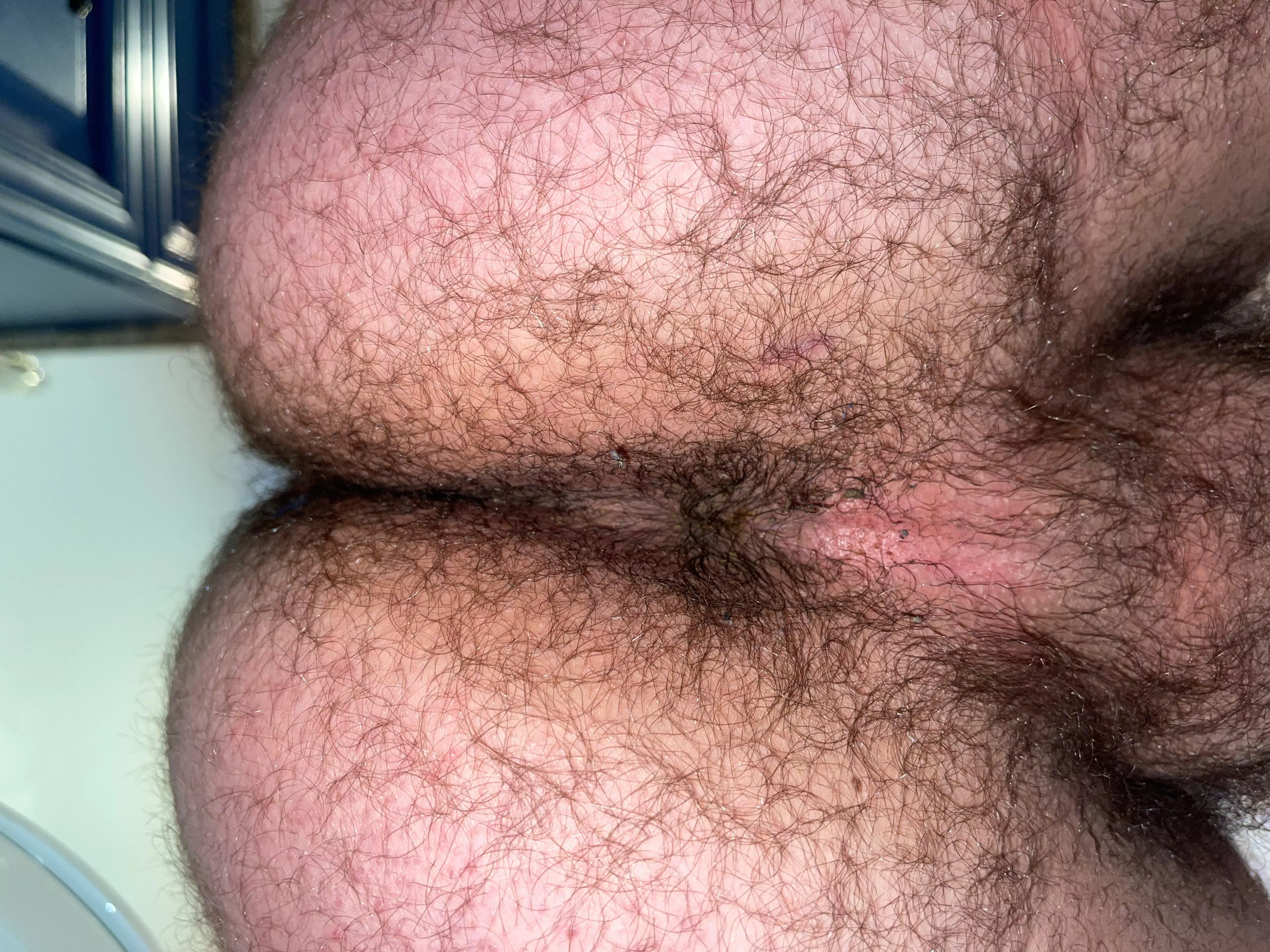 Anyone else got a jungle out back?