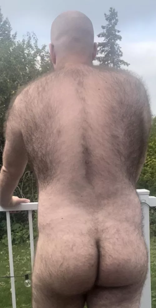 Hairy enough for ya?