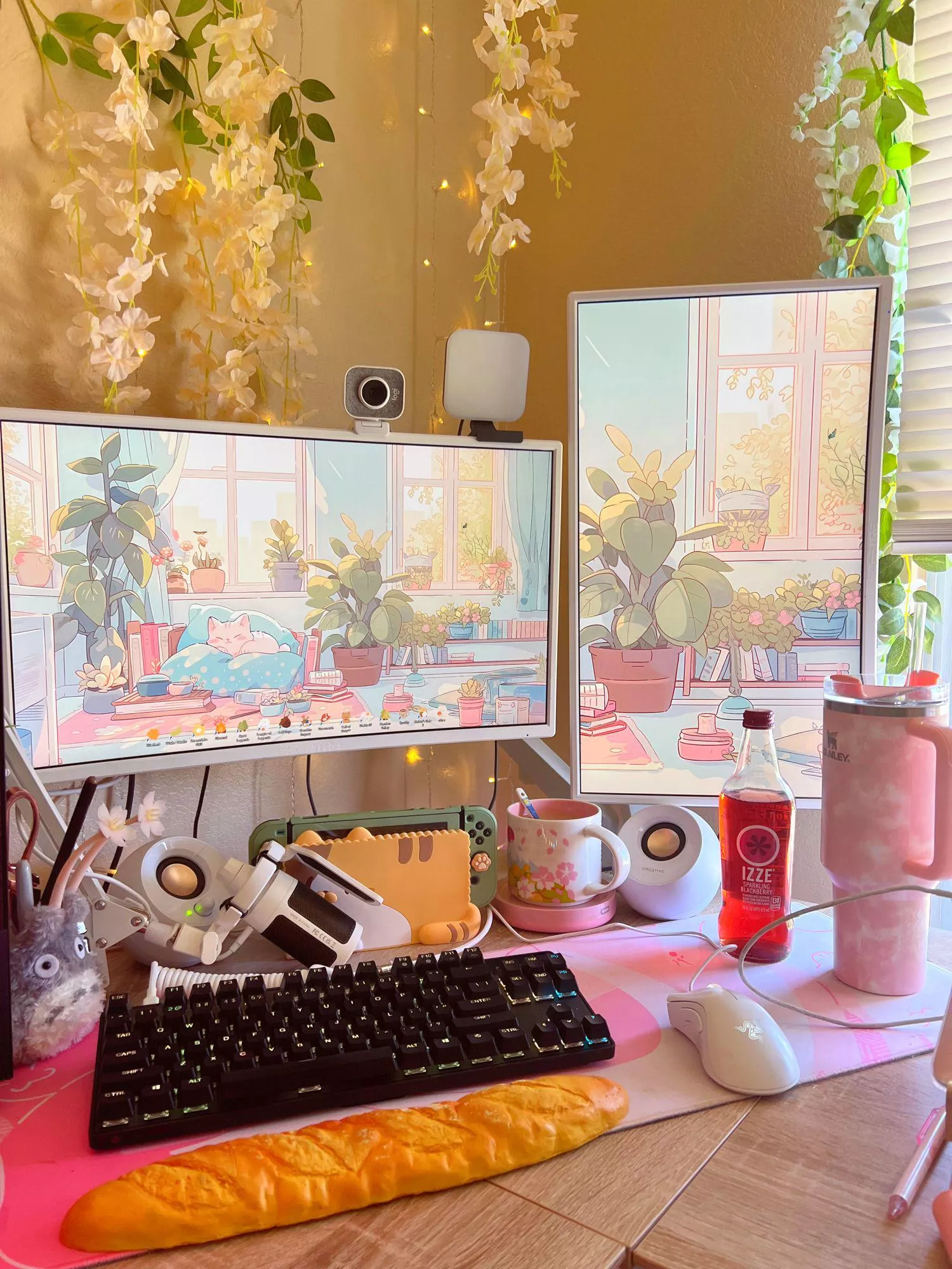 pc setup ♡