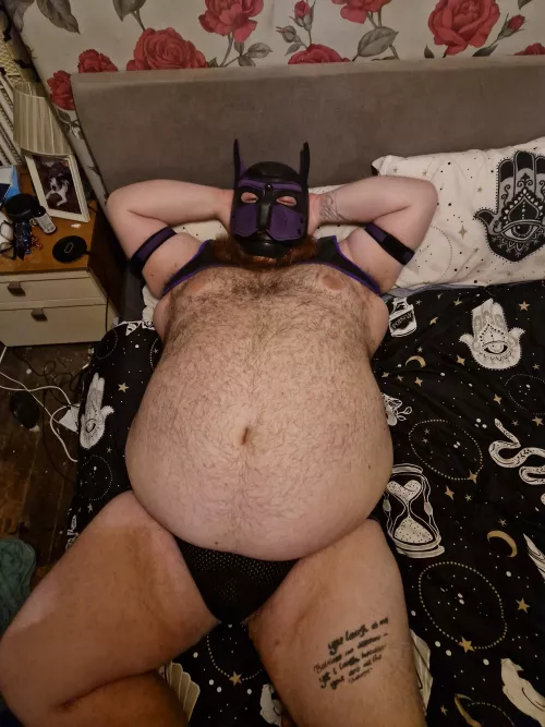 Ruff, do you like a bear that's also a pup?