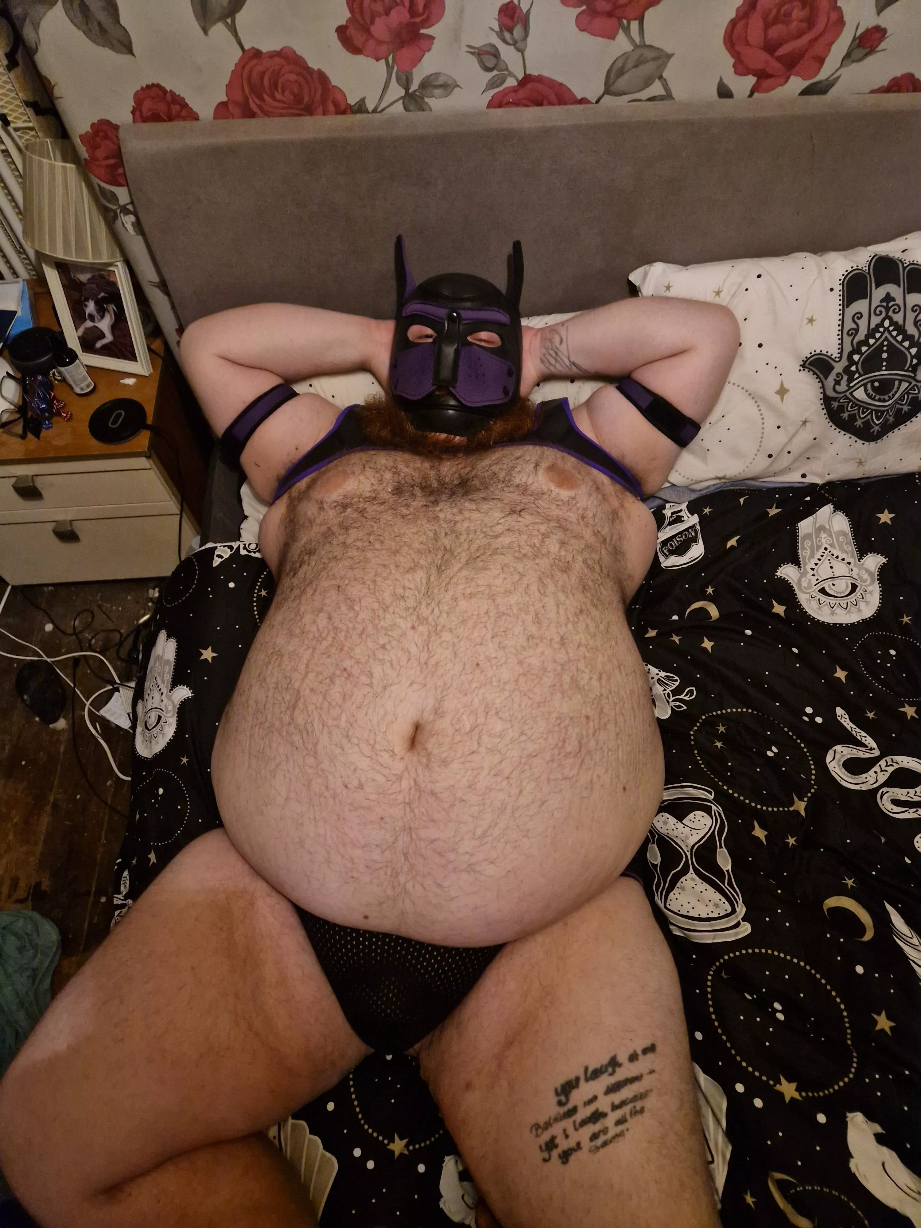 Ruff, do you like a bear that's also a pup?