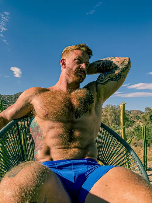 What do you think about ginger pits? 