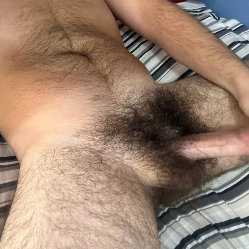 26, hairy, verbal, face, sc: king00098