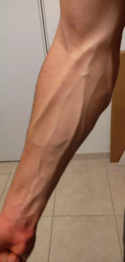 An old photo in my gallery, enjoy 🦟🦟🦟