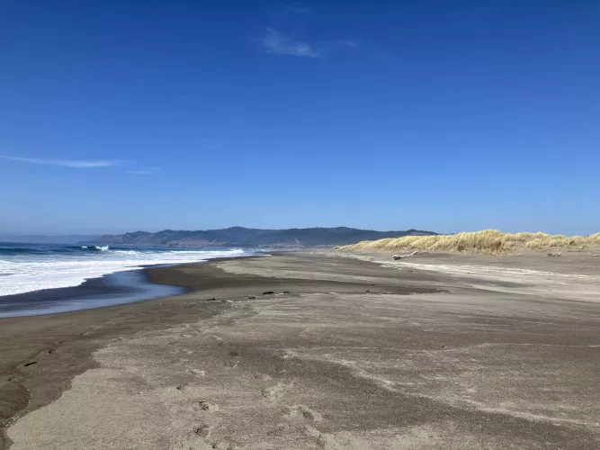 Deserted beach, sand dunes, pacific ocean and forested mountains. 