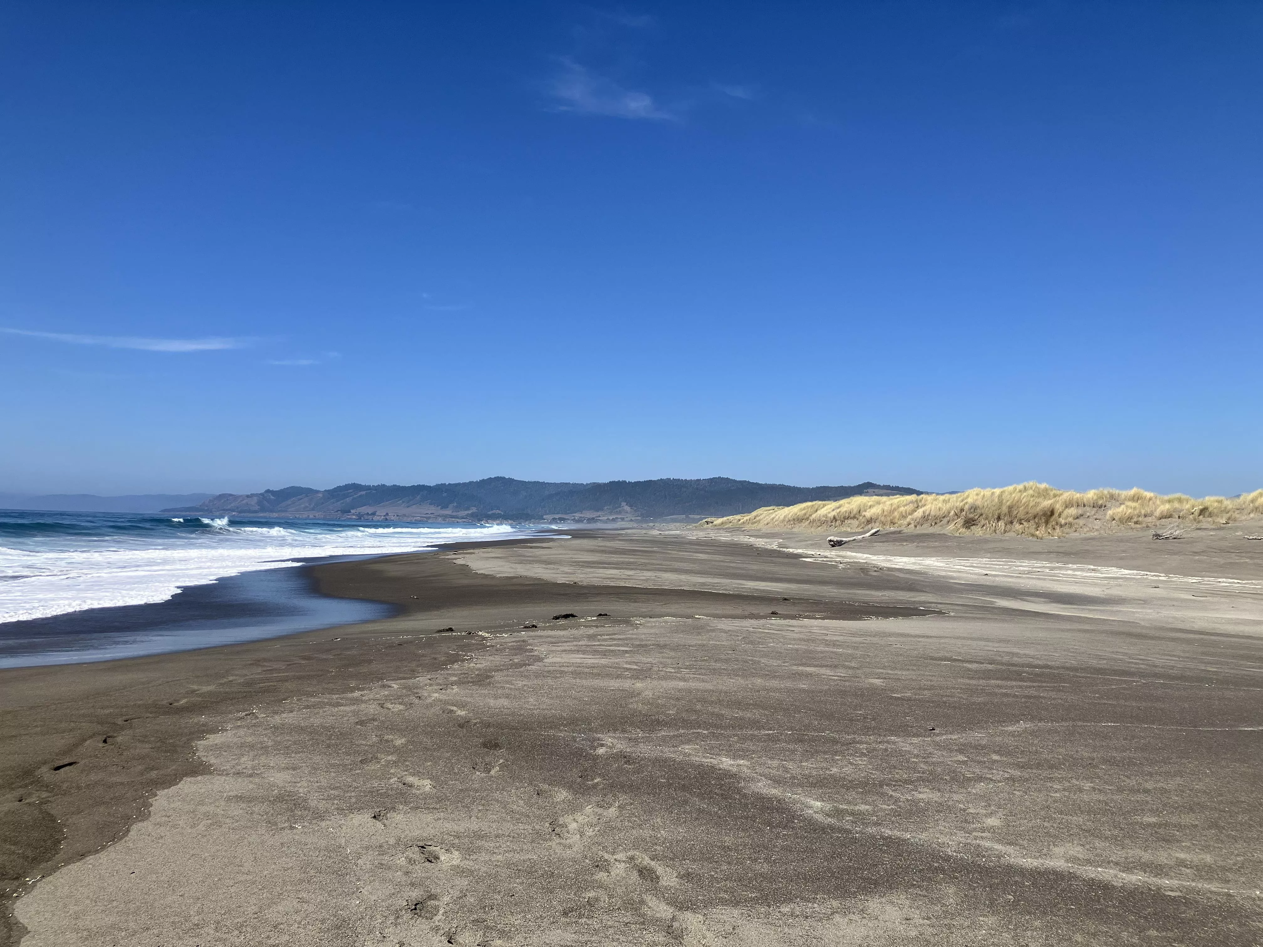 Deserted beach, sand dunes, pacific ocean and forested mountains. 