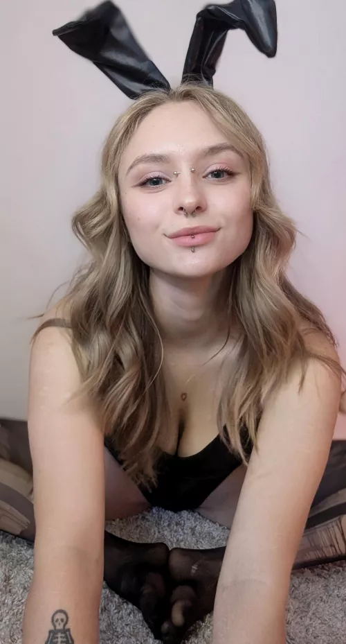 I want to show you how a real rabbit can mate several times a day and never get bored😇