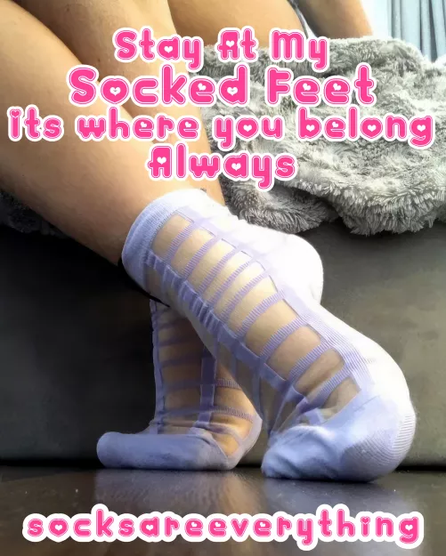 Lay down and stay at my socked feet you stupid sockssexual fucking beta loser. Its where you belong!