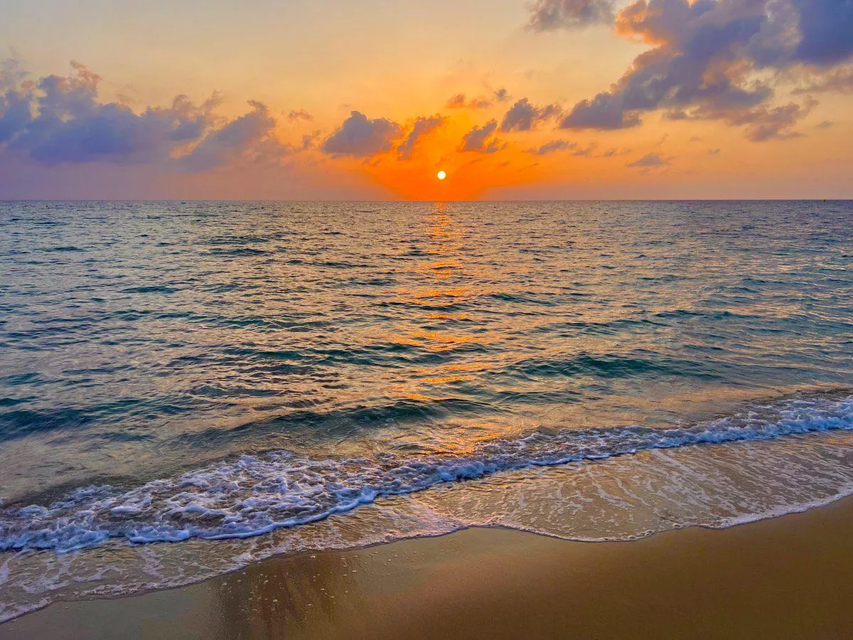 Morning's golden promise ✨