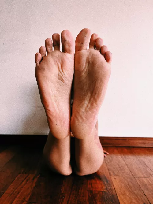 your favorite meal is served
