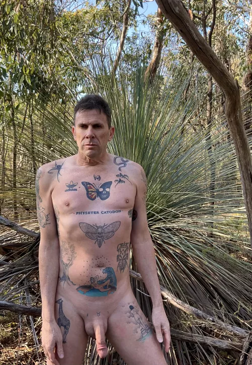 A perfect time and place to be on a naked hike.