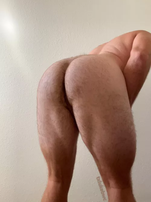 average leg day enthusiast 