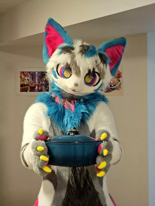 Cat offer mysterious stew, do you accept? 