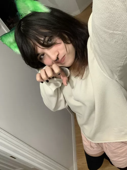 Do you guys like my cat ears?