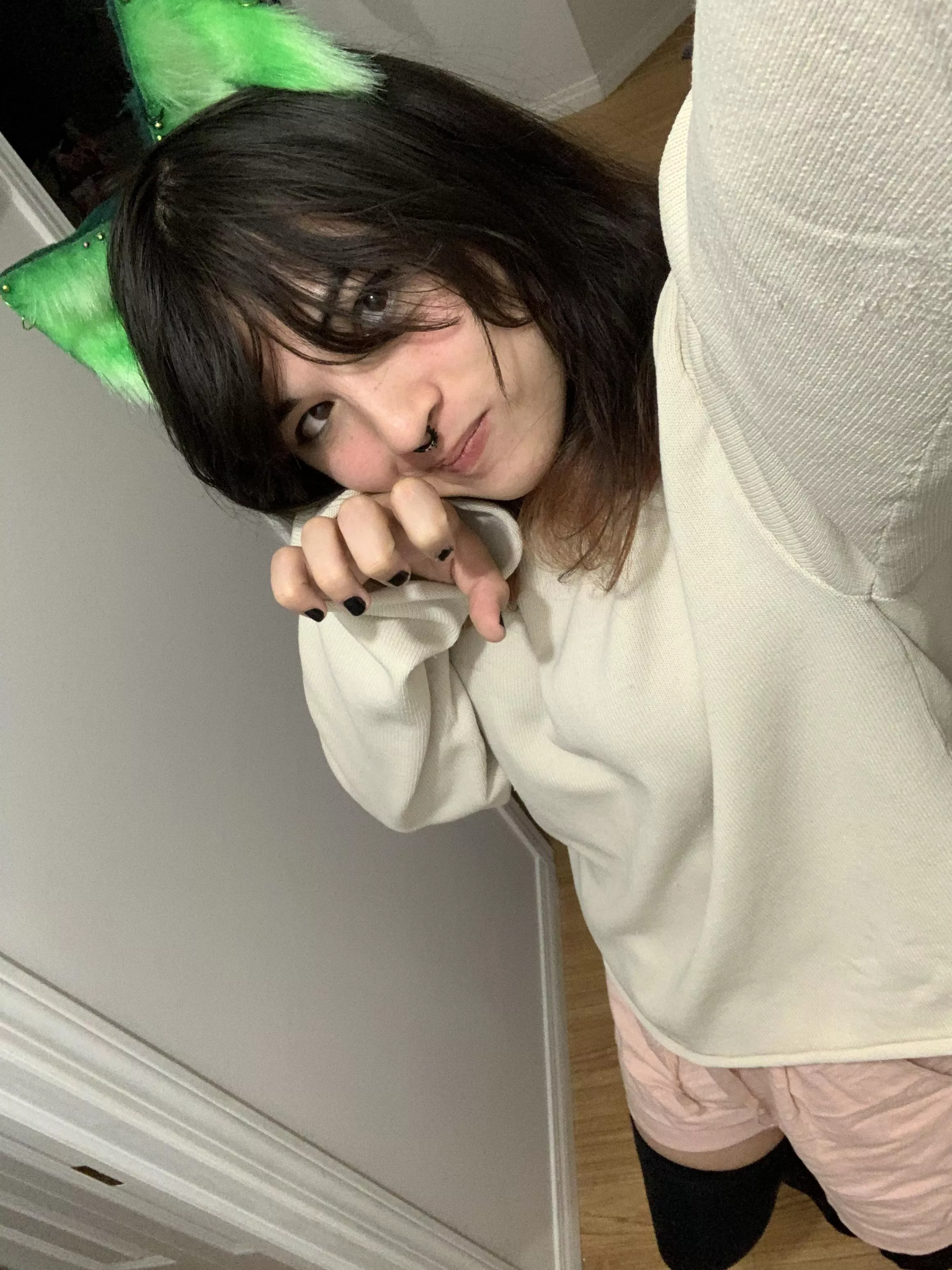 Do you guys like my cat ears?