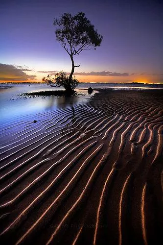 pure peace at the beach. 🌊