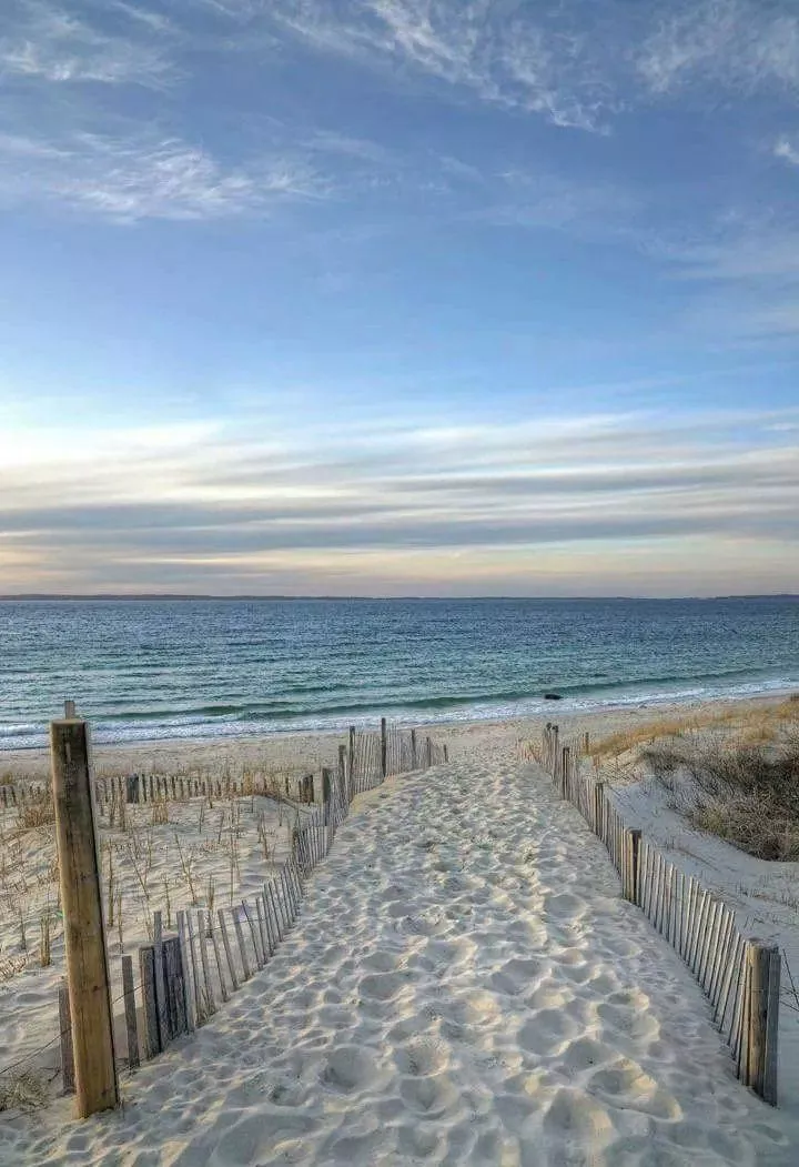 Solitude by the shore 🌊🏖️