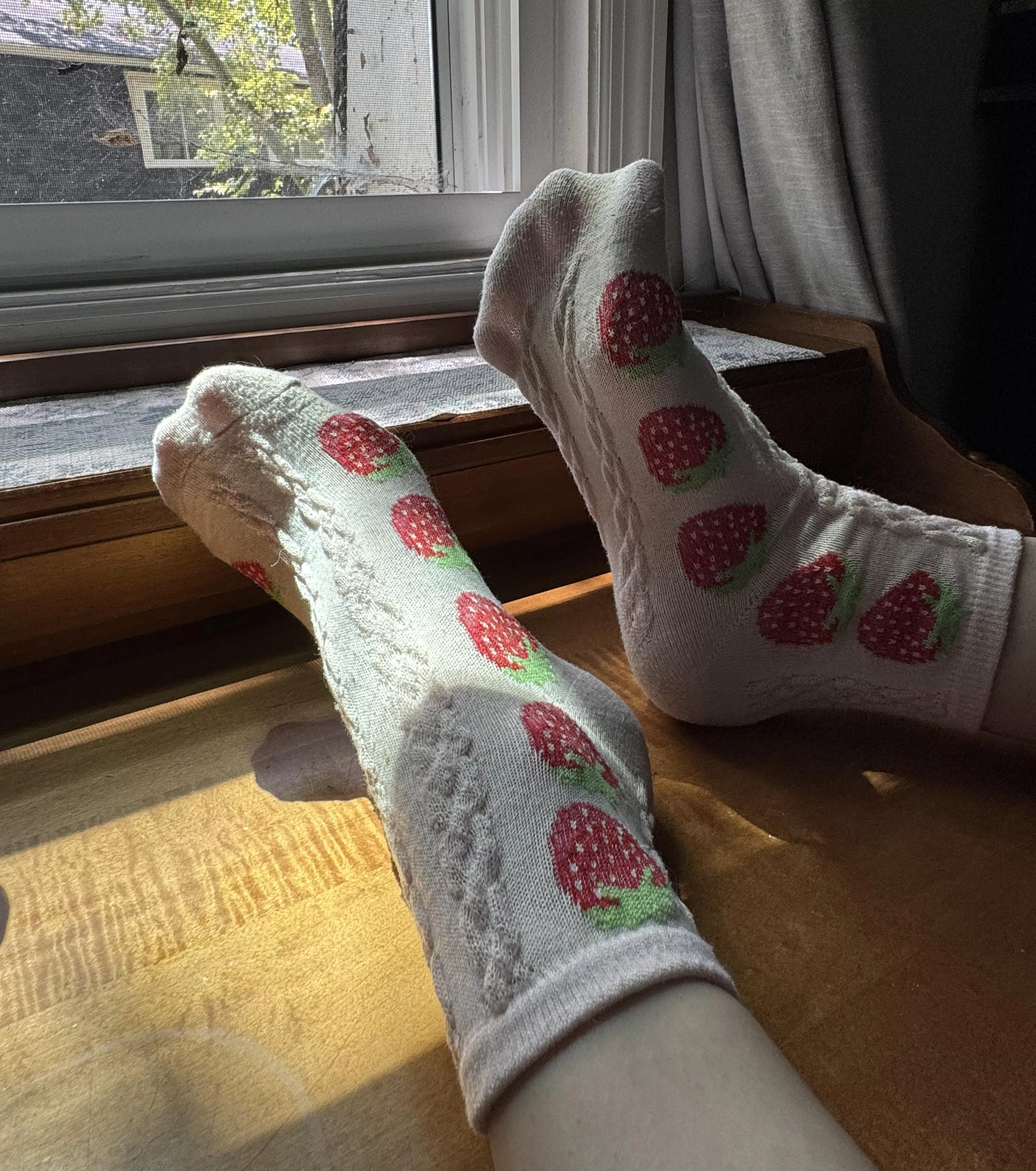 A pair of sweet socks covered in juicy strawberries