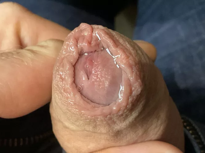 A wet, morning edge (54) UK