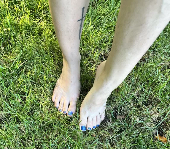 Blue in the grass