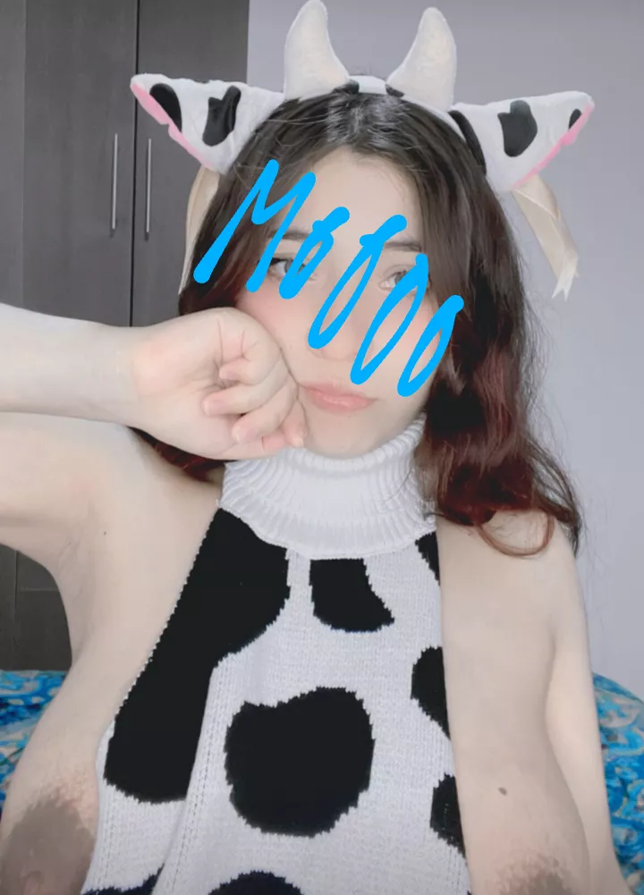 Mooo?