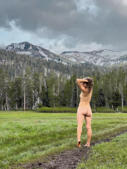 Wandering around the wilderness 